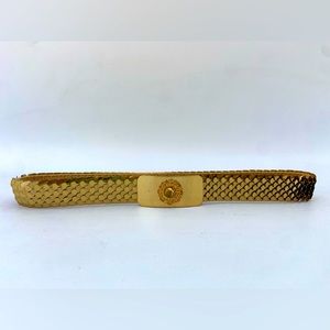 Vintage Gold Tone Stretchy Scales Belt (1” width)